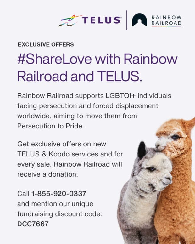 TELUS and Rainbow Railroad promo with two alpacas on the right.